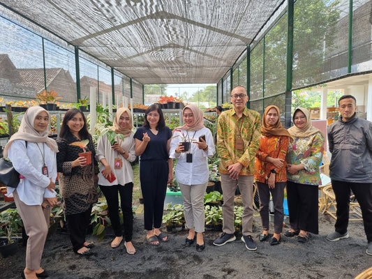 Our Story - The Little Journey of Kokonat Indonesia